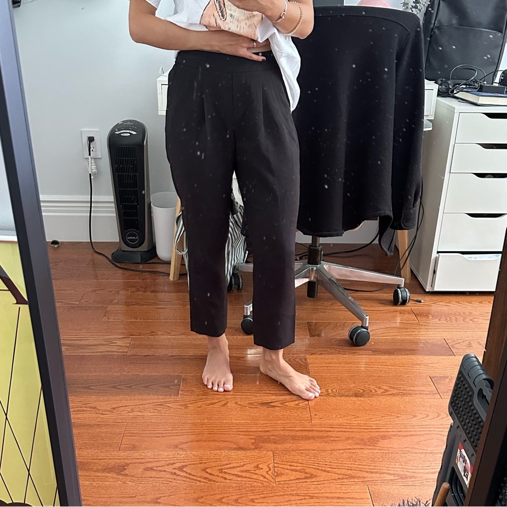 ARITZIA TROUSERS